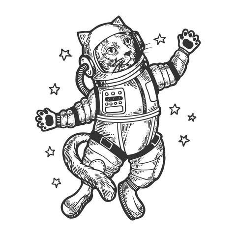 Kats In Space Coloring Book